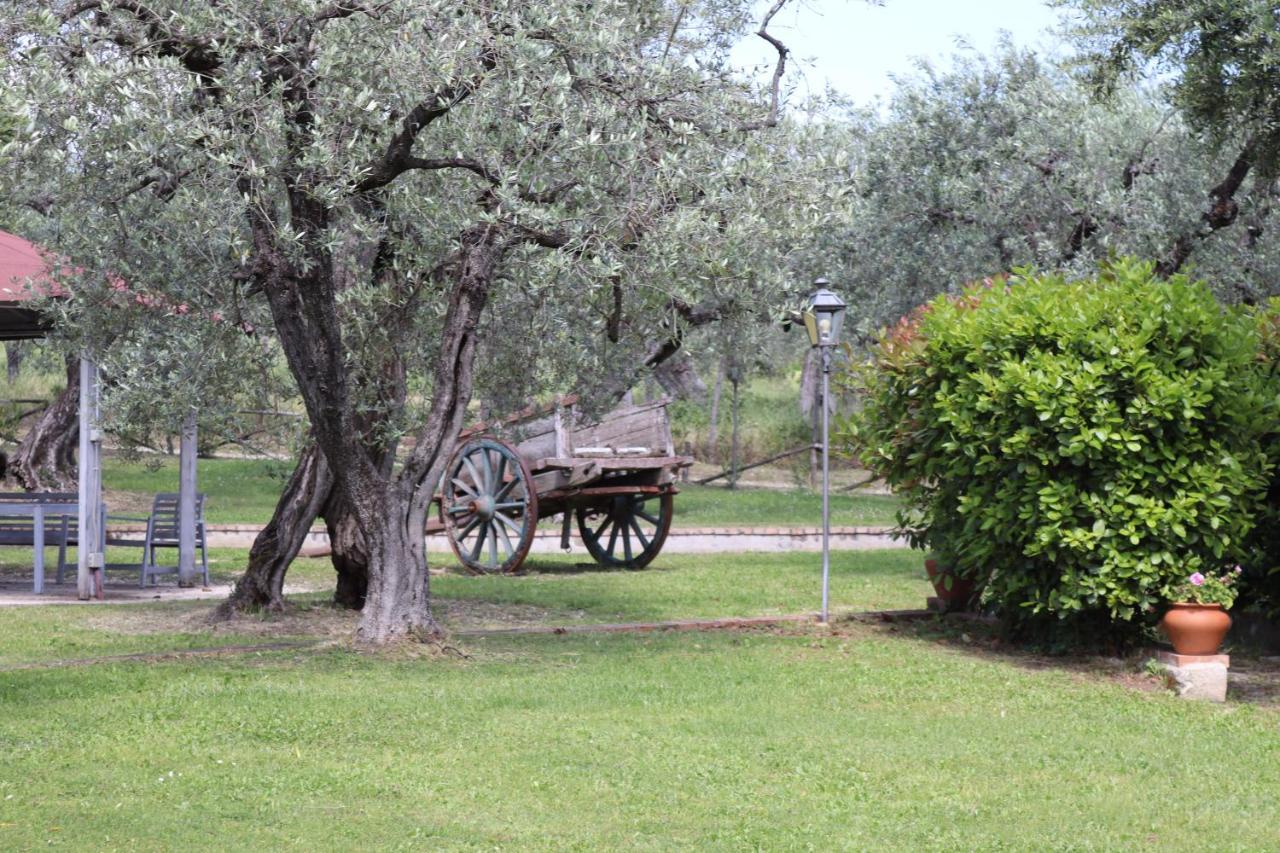 Agriturismo Il Bagolaro Nerola Extérieur photo